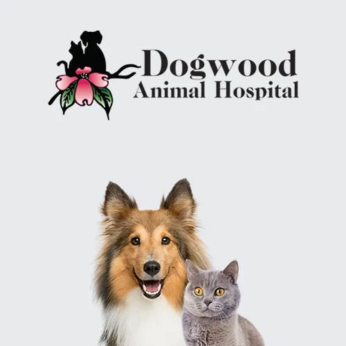 Vet Clinic in Lawrenceville & Grayson, GA | Dogwood Animal Hospital