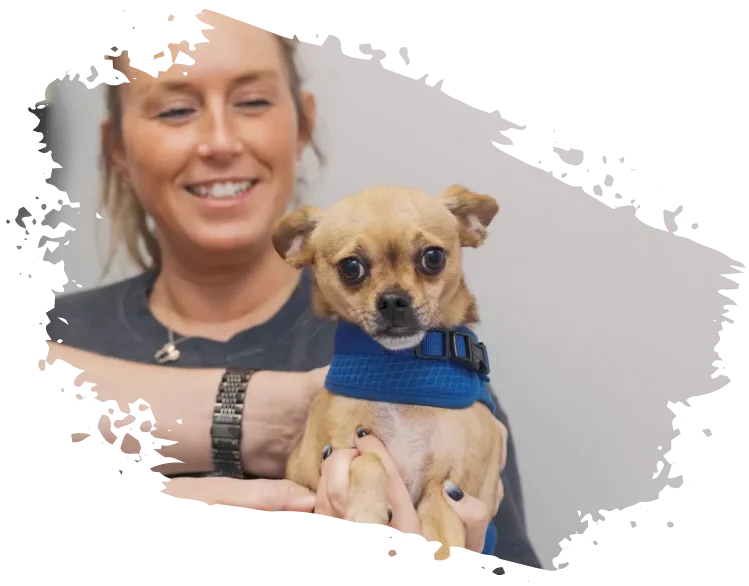A Smarter Way to Manage Pet Care Costs