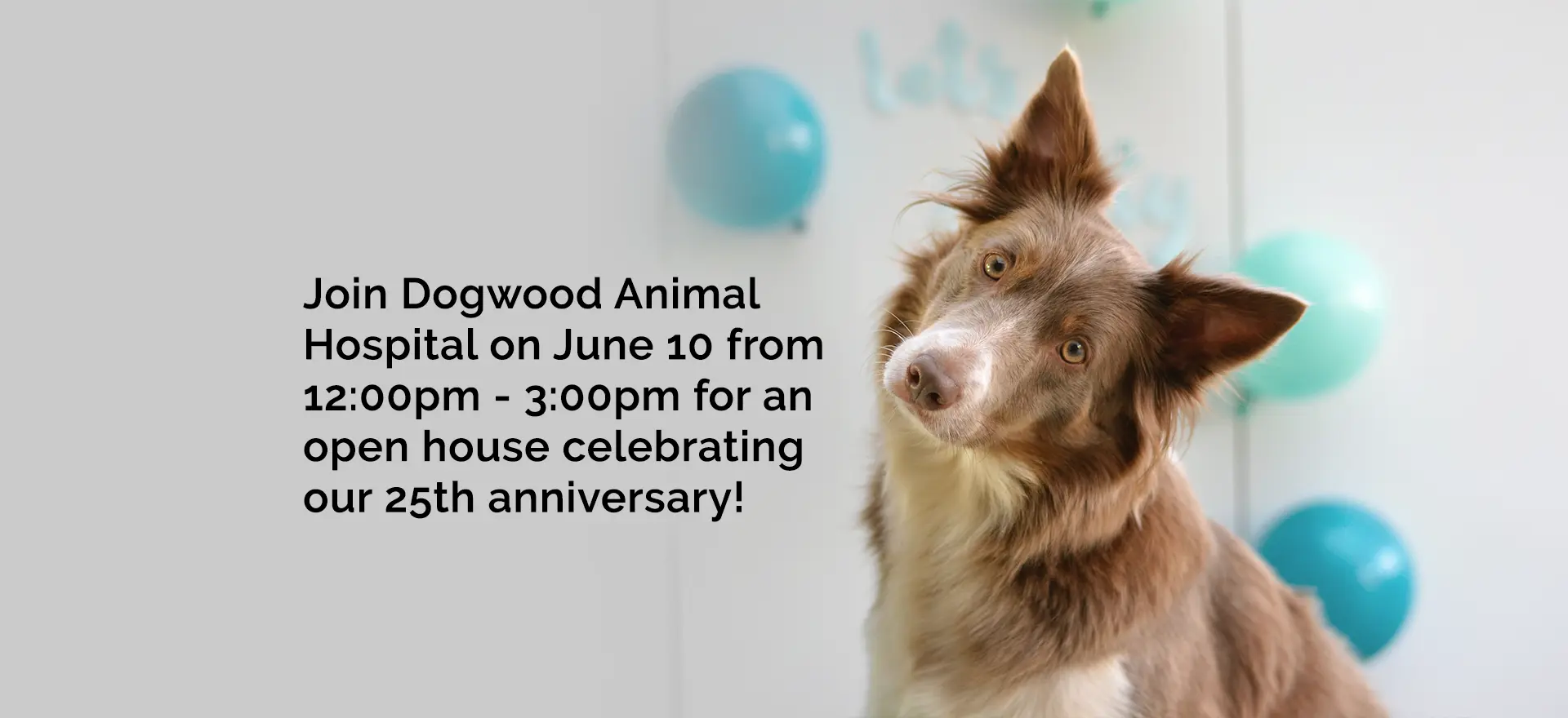 Join Dogwood Animal Hospital on June 10 from 12:00pm - 3:00pm for an open house celebrating our 25th anniversary! 